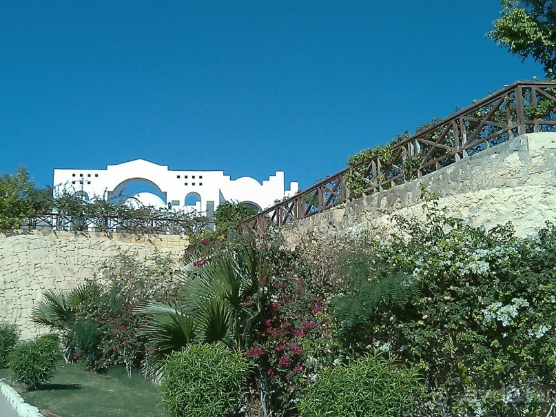 Чесотка в подарок