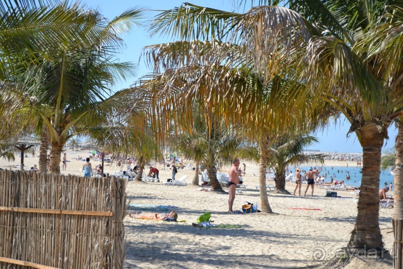 Богатство ОАЭ