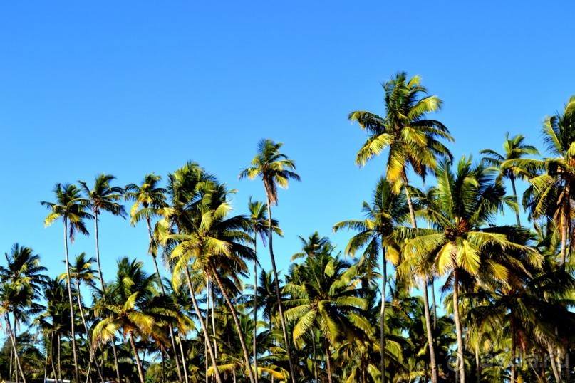 Такая загадочная Индия