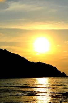 фото Patong Bay Resotel