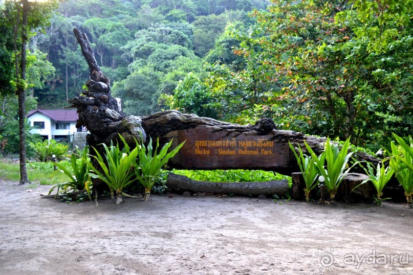 фото Patong Bay Resotel