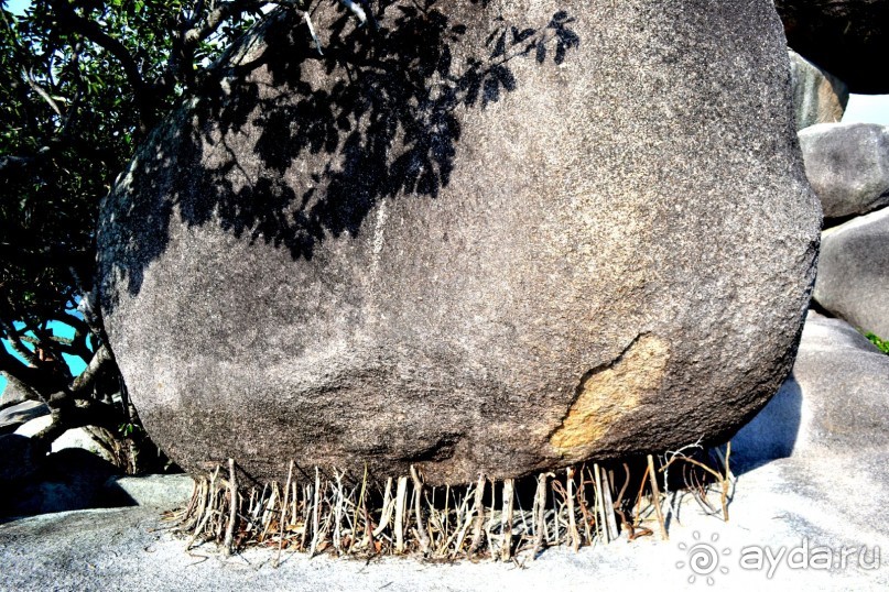 Безумие Тайланда