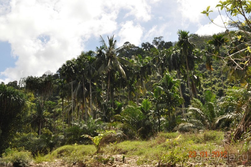 Безумие Тайланда