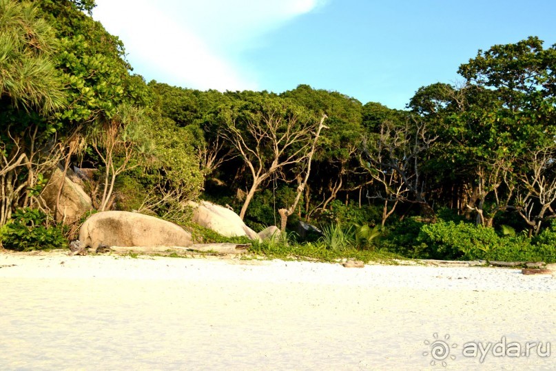 Безумие Тайланда