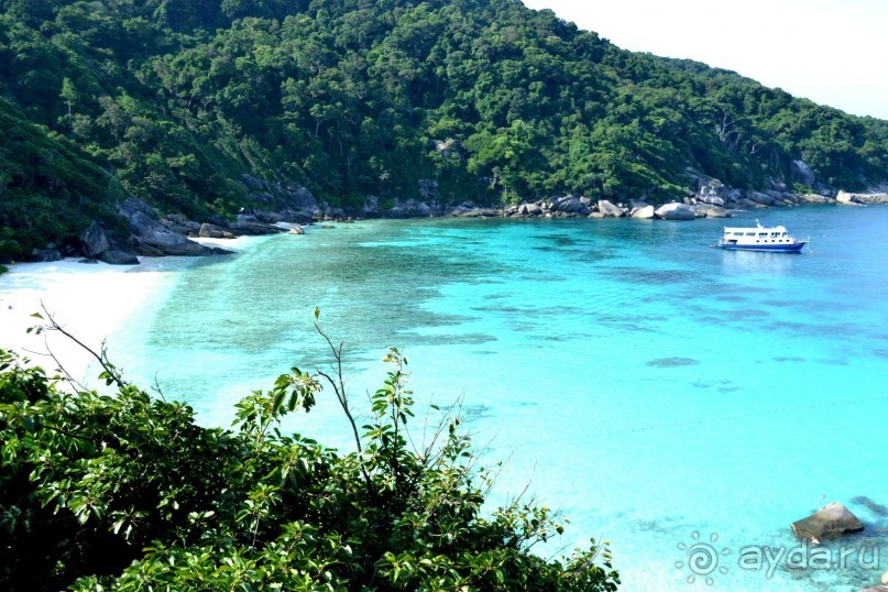 Безумие Тайланда