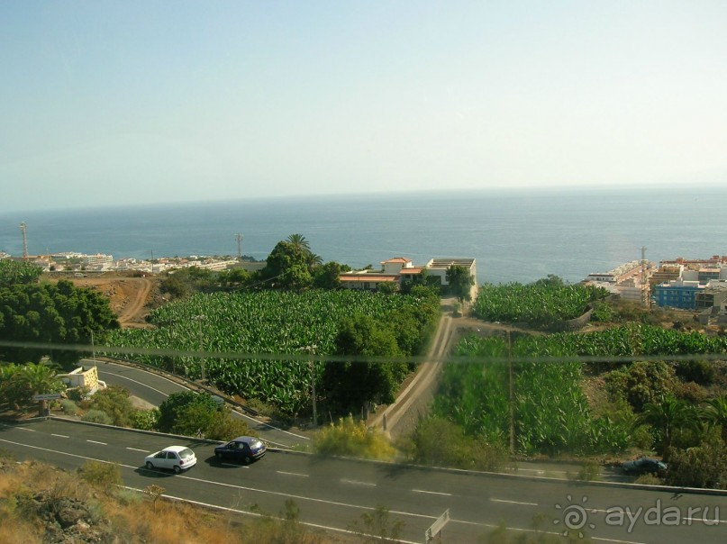 Канары-это рай!