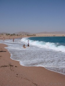 Впечатлительный Тиран