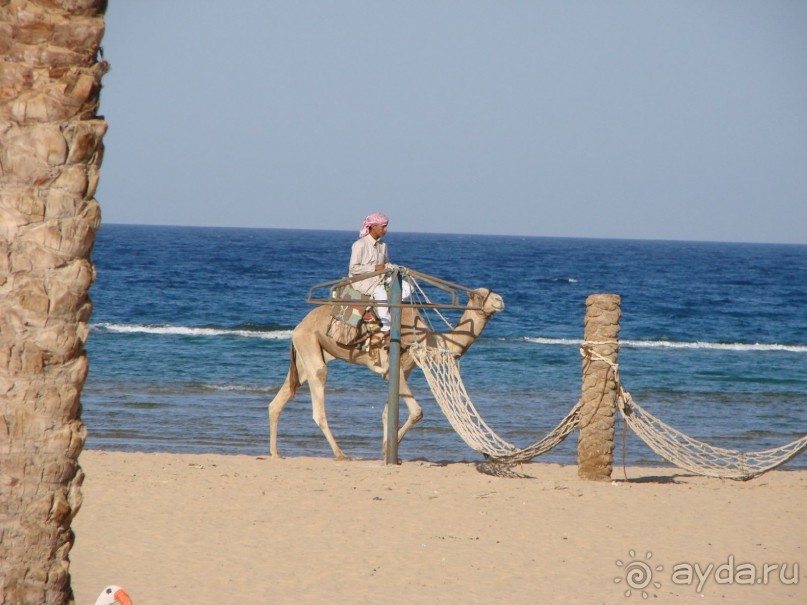 Впечатлительный Тиран