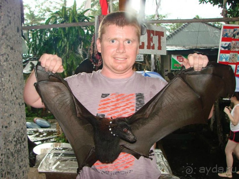 Незабываемый Бали