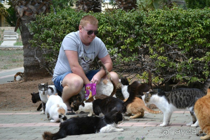 Незабываемый Кипр