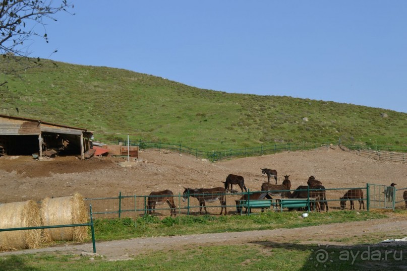 Незабываемый Кипр