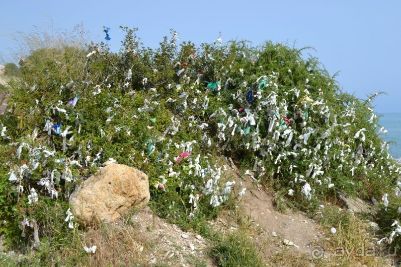 Незабываемый Кипр