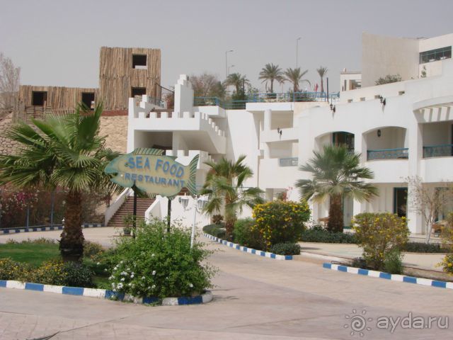 Веселая Роджана