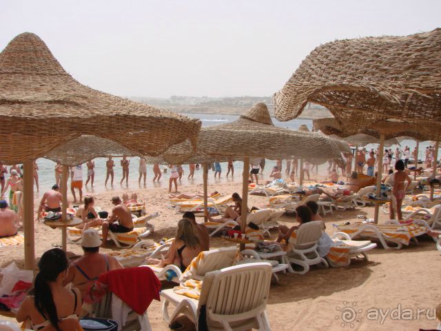 Веселая Роджана