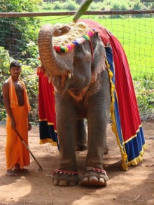 фото Svelton Manor