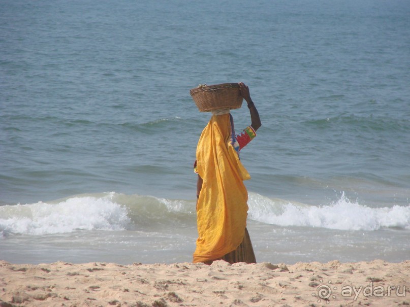 Загадочная Индия-2009