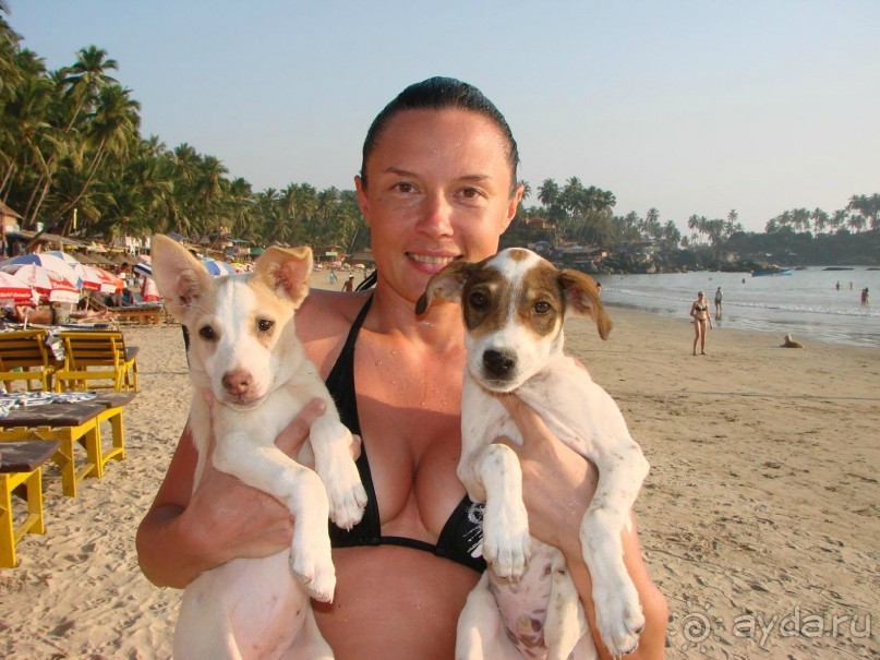 Загадочная Индия-2009