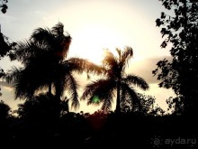 Бесконечный Шеротон