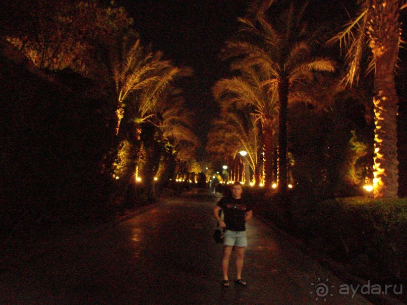 Бесконечный Шеротон