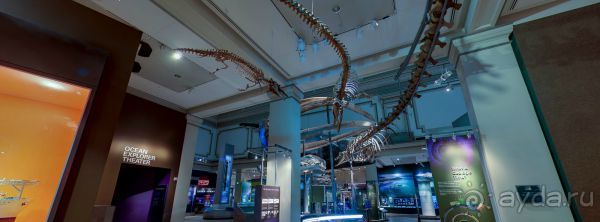 Если вы будете в США вы должны обязательно посетить этот музей!(+МНОГО ФОТО) Если вы будете в США вы должны обязательно посетить этот музей!(+МНОГО ФОТО)