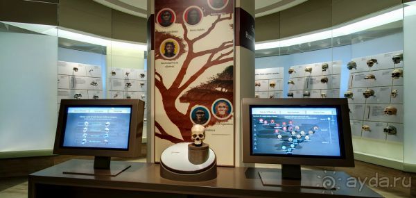 Если вы будете в США вы должны обязательно посетить этот музей!(+МНОГО ФОТО) Если вы будете в США вы должны обязательно посетить этот музей!(+МНОГО ФОТО)