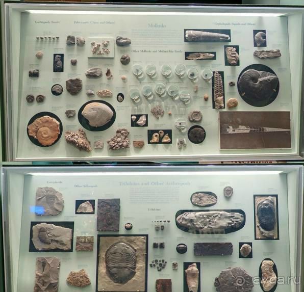 Если вы будете в США вы должны обязательно посетить этот музей!(+МНОГО ФОТО) Если вы будете в США вы должны обязательно посетить этот музей!(+МНОГО ФОТО)