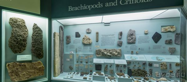 Если вы будете в США вы должны обязательно посетить этот музей!(+МНОГО ФОТО) Если вы будете в США вы должны обязательно посетить этот музей!(+МНОГО ФОТО)