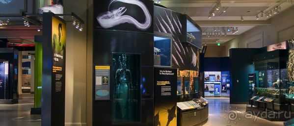 Если вы будете в США вы должны обязательно посетить этот музей!(+МНОГО ФОТО) Если вы будете в США вы должны обязательно посетить этот музей!(+МНОГО ФОТО)
