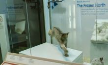 Если вы будете в США вы должны обязательно посетить этот музей!(+МНОГО ФОТО) Если вы будете в США вы должны обязательно посетить этот музей!(+МНОГО ФОТО)