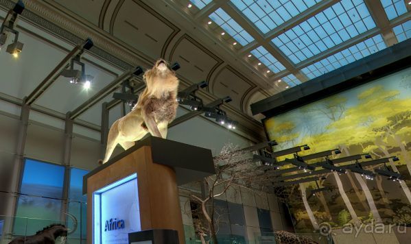 Если вы будете в США вы должны обязательно посетить этот музей!(+МНОГО ФОТО) Если вы будете в США вы должны обязательно посетить этот музей!(+МНОГО ФОТО)