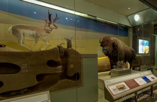 Если вы будете в США вы должны обязательно посетить этот музей!(+МНОГО ФОТО) Если вы будете в США вы должны обязательно посетить этот музей!(+МНОГО ФОТО)