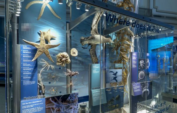 Если вы будете в США вы должны обязательно посетить этот музей!(+МНОГО ФОТО) Если вы будете в США вы должны обязательно посетить этот музей!(+МНОГО ФОТО)