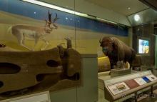 Если вы будете в США вы должны обязательно посетить этот музей!(+МНОГО ФОТО) Если вы будете в США вы должны обязательно посетить этот музей!(+МНОГО ФОТО)