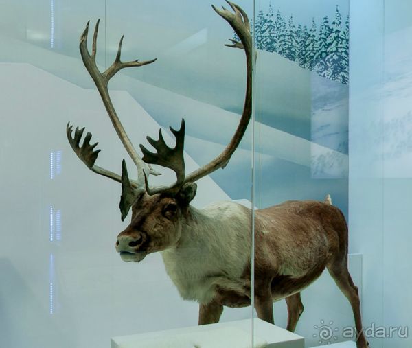 Если вы будете в США вы должны обязательно посетить этот музей!(+МНОГО ФОТО) Если вы будете в США вы должны обязательно посетить этот музей!(+МНОГО ФОТО)