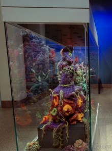 Если вы будете в США вы должны обязательно посетить этот музей!(+МНОГО ФОТО) Если вы будете в США вы должны обязательно посетить этот музей!(+МНОГО ФОТО)