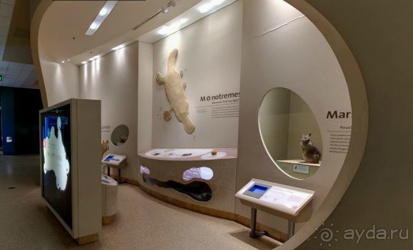 Если вы будете в США вы должны обязательно посетить этот музей!(+МНОГО ФОТО) Если вы будете в США вы должны обязательно посетить этот музей!(+МНОГО ФОТО)