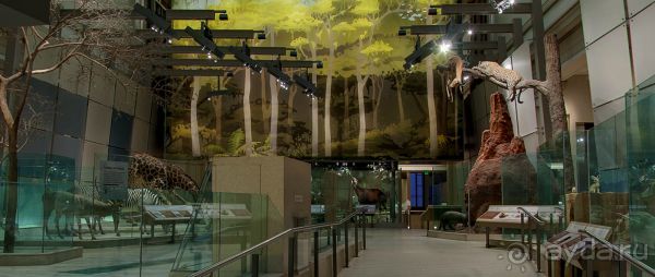 Если вы будете в США вы должны обязательно посетить этот музей!(+МНОГО ФОТО) Если вы будете в США вы должны обязательно посетить этот музей!(+МНОГО ФОТО)