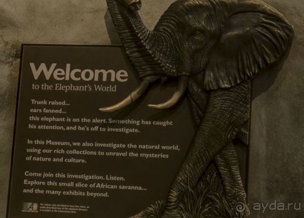 Если вы будете в США вы должны обязательно посетить этот музей!(+МНОГО ФОТО) Если вы будете в США вы должны обязательно посетить этот музей!(+МНОГО ФОТО)