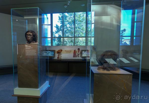 Если вы будете в США вы должны обязательно посетить этот музей!(+МНОГО ФОТО) Если вы будете в США вы должны обязательно посетить этот музей!(+МНОГО ФОТО)