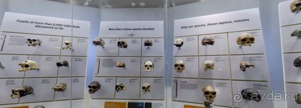 Если вы будете в США вы должны обязательно посетить этот музей!(+МНОГО ФОТО) Если вы будете в США вы должны обязательно посетить этот музей!(+МНОГО ФОТО)