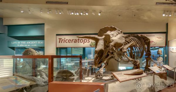 Если вы будете в США вы должны обязательно посетить этот музей!(+МНОГО ФОТО) Если вы будете в США вы должны обязательно посетить этот музей!(+МНОГО ФОТО)