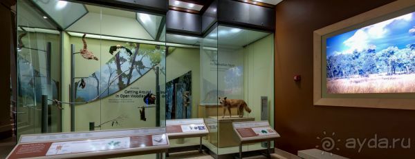 Если вы будете в США вы должны обязательно посетить этот музей!(+МНОГО ФОТО) Если вы будете в США вы должны обязательно посетить этот музей!(+МНОГО ФОТО)