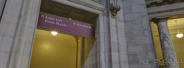 Если вы будете в США вы должны обязательно посетить этот музей!(+МНОГО ФОТО) Если вы будете в США вы должны обязательно посетить этот музей!(+МНОГО ФОТО)