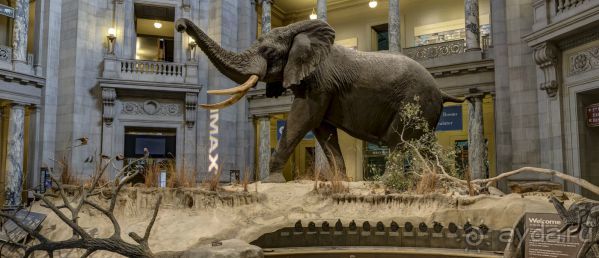 Если вы будете в США вы должны обязательно посетить этот музей!(+МНОГО ФОТО) Если вы будете в США вы должны обязательно посетить этот музей!(+МНОГО ФОТО)