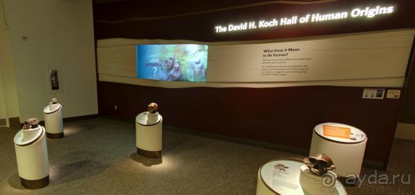 Если вы будете в США вы должны обязательно посетить этот музей!(+МНОГО ФОТО) Если вы будете в США вы должны обязательно посетить этот музей!(+МНОГО ФОТО)