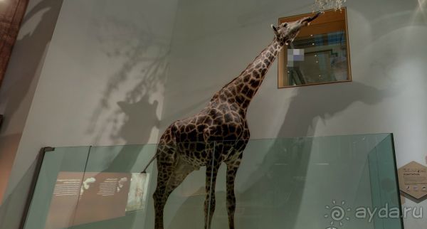 Если вы будете в США вы должны обязательно посетить этот музей!(+МНОГО ФОТО) Если вы будете в США вы должны обязательно посетить этот музей!(+МНОГО ФОТО)