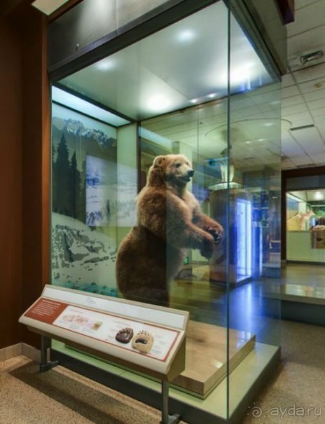 Если вы будете в США вы должны обязательно посетить этот музей!(+МНОГО ФОТО) Если вы будете в США вы должны обязательно посетить этот музей!(+МНОГО ФОТО)