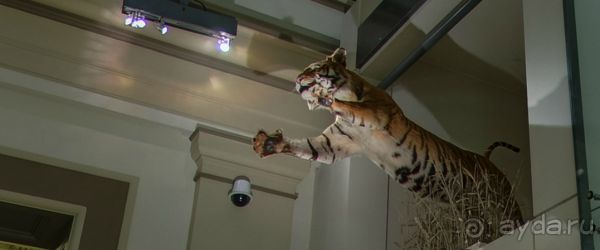 Если вы будете в США вы должны обязательно посетить этот музей!(+МНОГО ФОТО) Если вы будете в США вы должны обязательно посетить этот музей!(+МНОГО ФОТО)