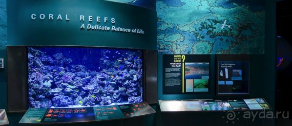 Если вы будете в США вы должны обязательно посетить этот музей!(+МНОГО ФОТО) Если вы будете в США вы должны обязательно посетить этот музей!(+МНОГО ФОТО)