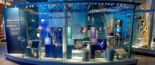 Если вы будете в США вы должны обязательно посетить этот музей!(+МНОГО ФОТО) Если вы будете в США вы должны обязательно посетить этот музей!(+МНОГО ФОТО)